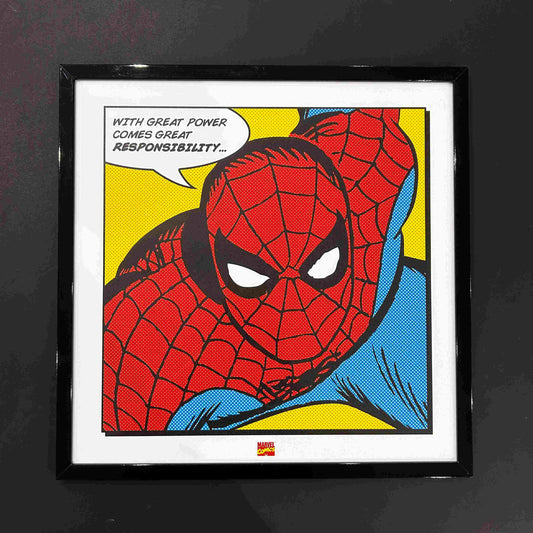 SPIDERMAN/ MARVEL DC COMICS