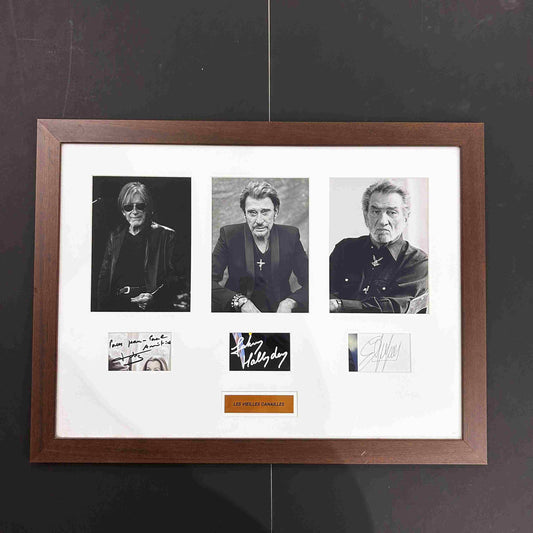VIEILLES CANAILLES - DUTRONC - HALLYDAY - MITCHELL